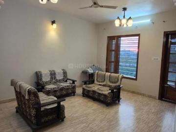 3 BHK Independent Builder Floor in Sector 02 for rent Bahadurgarh. The reference number is 20018495