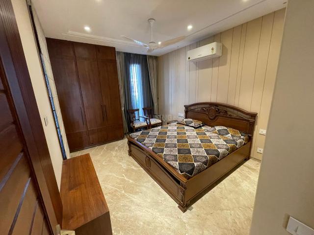 3 BHK Independent Builder Floor in Sector 11 for rent Chandigarh. The reference number is 21234701