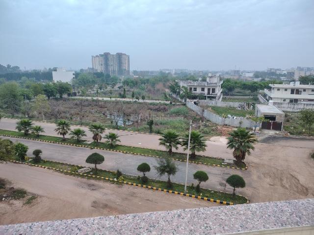 3 BHK Independent Builder Floor in Sector 14 for rent Bahadurgarh. The reference number is 19697124