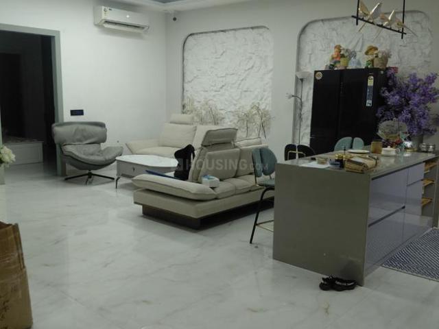 3 BHK Independent Builder Floor in Sector 14 for rent Gurgaon. The reference number is 20243181