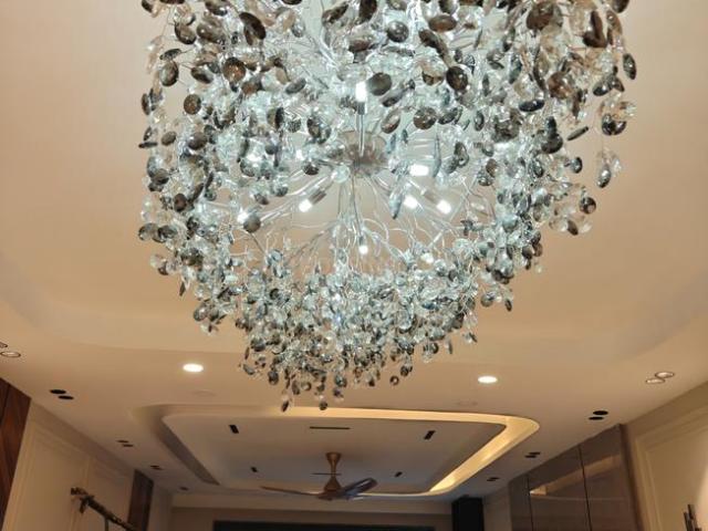 3 BHK Independent Builder Floor in Sector 23 for resale Gurgaon. The reference number is 20596026