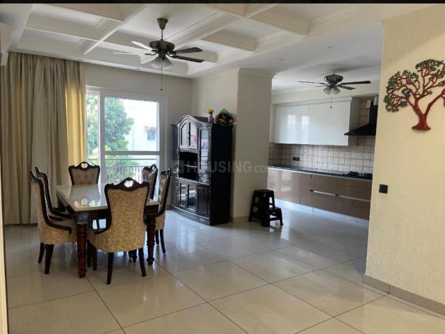 3 BHK Independent Builder Floor in Sector 21 for rent Chandigarh. The reference number is 19334057