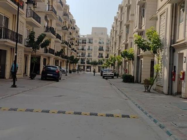 3 BHK Independent Builder Floor in Sector 36 for rent Sohna. The reference number is 20897624