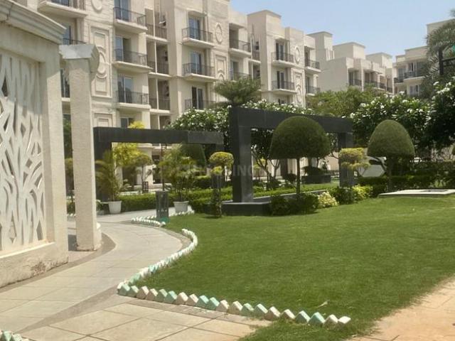 3 BHK Independent Builder Floor in Sector 36 for rent Sohna. The reference number is 20909117