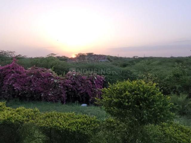 3 BHK Independent Builder Floor in Sector 39 for resale Faridabad. The reference number is 20705091