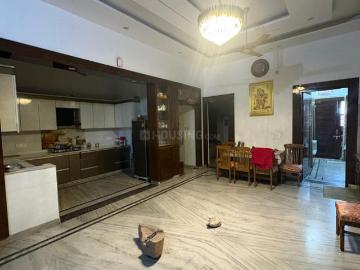 3 BHK Independent Builder Floor in Tehsil Camp for rent Panipat. The reference number is 20420581