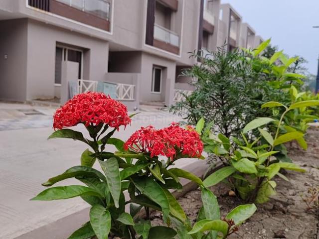 3 BHK Independent House in Ayodhya Bypass for rent Bhopal. The reference number is 19245849