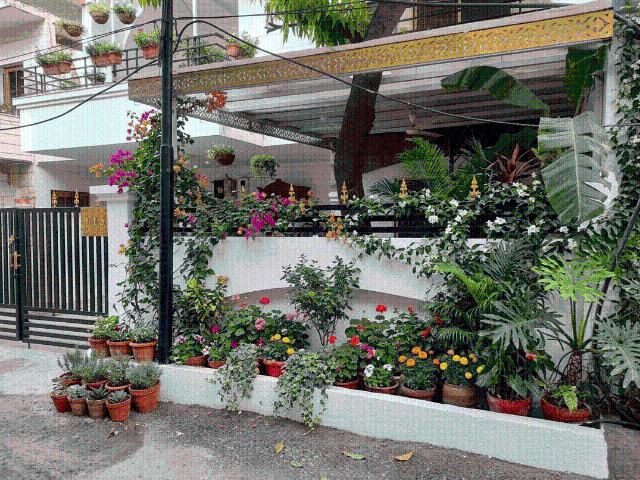 3 BHK Independent House in Hoshangabad Road for rent Bhopal. The reference number is 20680936
