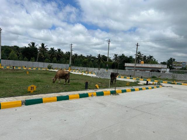 3 BHK Independent House in Jigani for resale Bengaluru. The reference number is 20886451