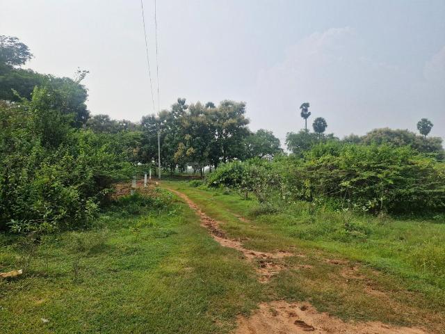 3 BHK Independent House in Kadavur for resale Madurai. The reference number is 20088263