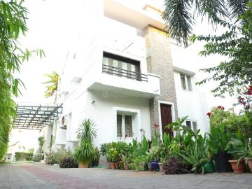 3 BHK Independent House in Neelankarai for rent Chennai. The reference number is 20485368