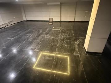 3 BHK Independent House in Pitampura for rent New Delhi. The reference number is 19595991