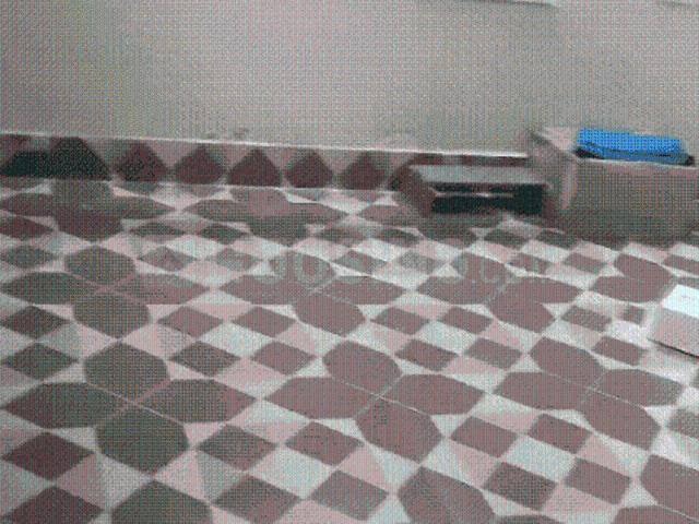 3 BHK Independent House in Raghunathpur for rent Bhubaneswar. The reference number is 21386730