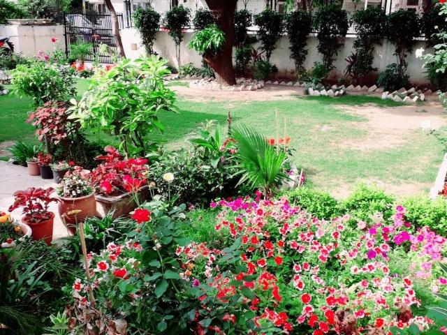 3 BHK Independent House in Sector 10 for rent Chandigarh. The reference number is 20768156