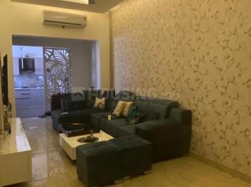 3 BHK Independent House in Sector 16 for resale Faridabad. The reference number is 20460723