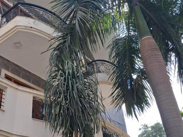 3 BHK Independent House in Sector 41 for rent Gurgaon. The reference number is 21286707