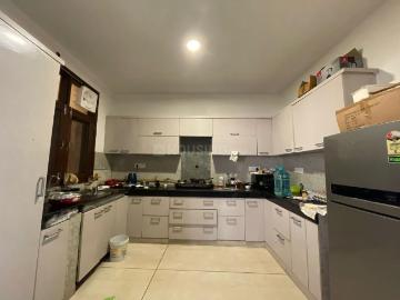 3 BHK Independent House in Sector 51 for rent Noida. The reference number is 19895987