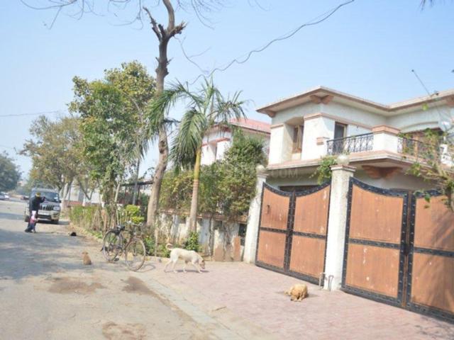 3 BHK Independent House in Sector 5 for rent Gurgaon. The reference number is 21086068