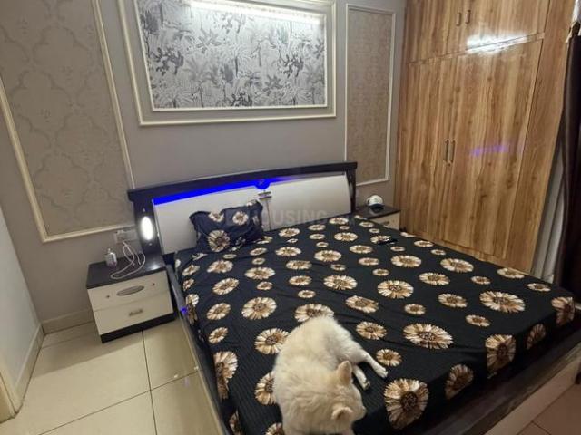 3 BHK Independent House in Sector 61 for rent Mohali. The reference number is 21143481