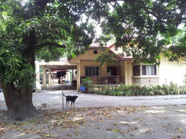 3 BR house and lot 2800 sqm. Castillejos, Zambales. NEGOTIABLE