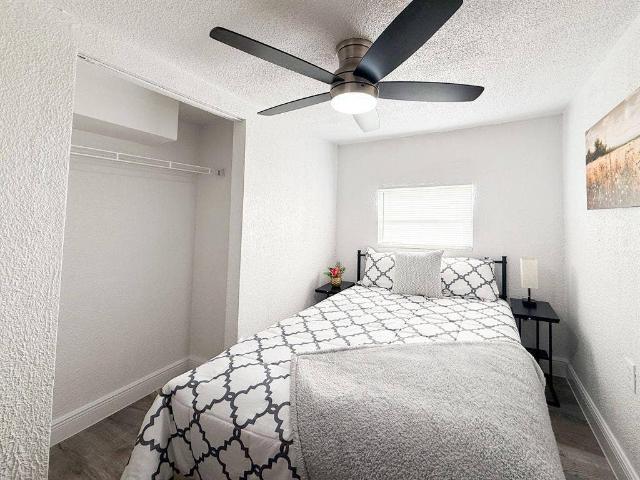 3 BR in Tampa