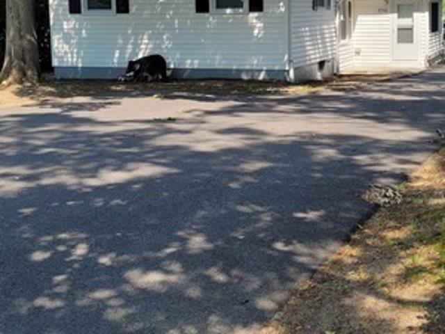 3 BR, 1.5 BA Apartment 1751 Almonesson Road, Deptford, NJ 08096
