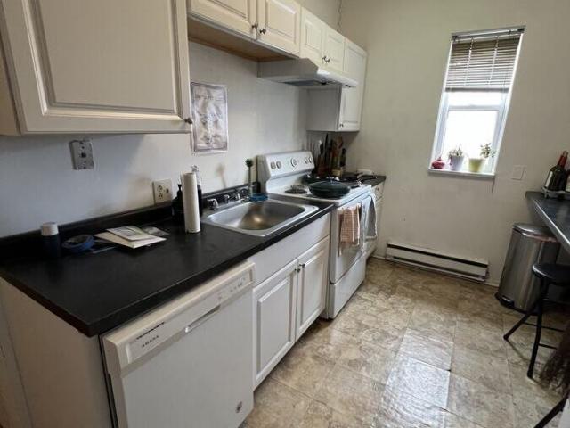 3 BR, 1 BA Apartment 1055 W Grace St, Chicago, IL 60613