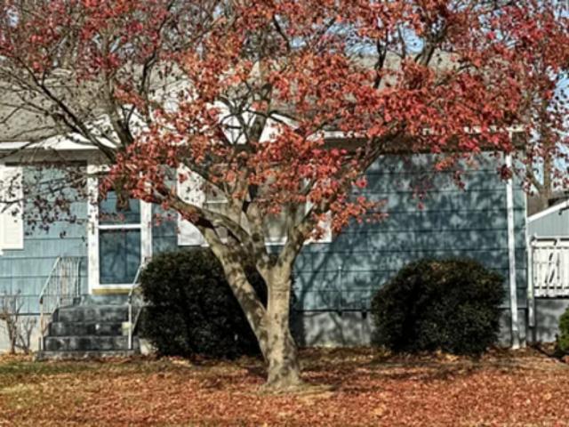 3 BR, 1 BA Apartment 112 Bird Ln, Milford, CT 06460