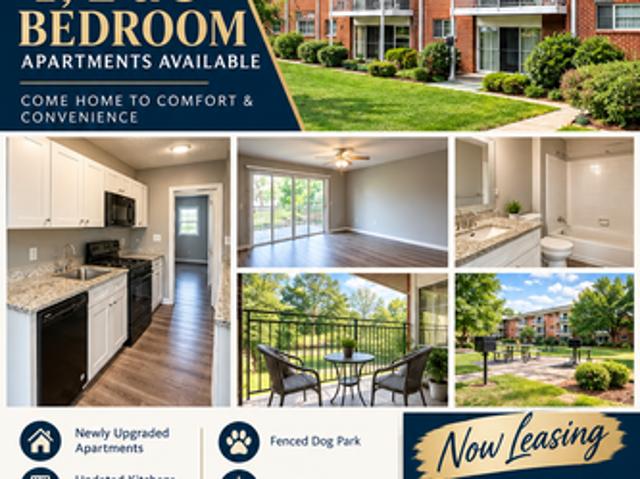 3 BR, 1 BA Apartment 310 Caroline Dr, Unit 510, La Plata, MD 20646