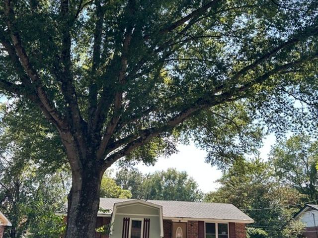 3 BR, 1 BA Apartment 43 Tanglewood Ln, Jackson, TN 38301