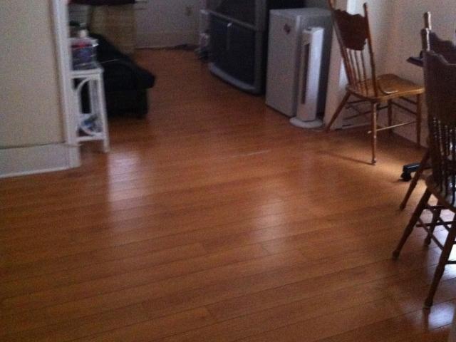 3 BR, 1 BA Apartment 655 Randolph Ave Uppr Upper, Windsor, ON N9B 2T7