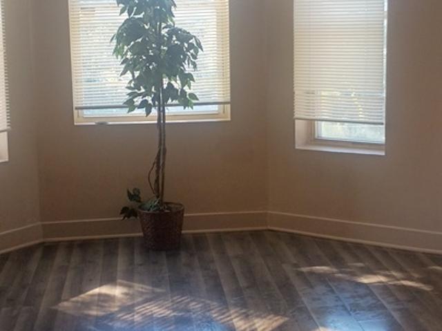 3 BR, 1 BA Apartment 917 S Springfield Ave, Unit Unit 2B, Chicago, IL 60624