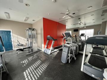 3 BR, 2 BA Apartment 1400 Eldorado Pkwy Unit 15201, McKinney, TX 75069