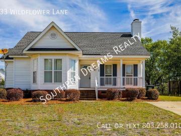 Indian Pines,  Lexington CCD Lexington County South Carolina, Lexington County, South Carolina