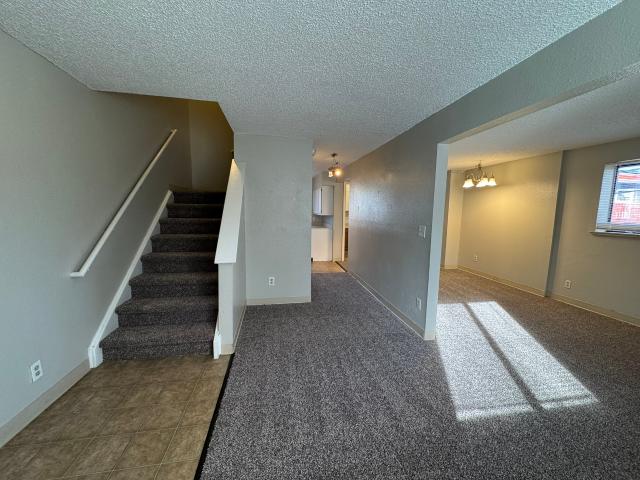 3 BR, 2 BA Apartment 2110 Williams Street, Denver, CO 80205