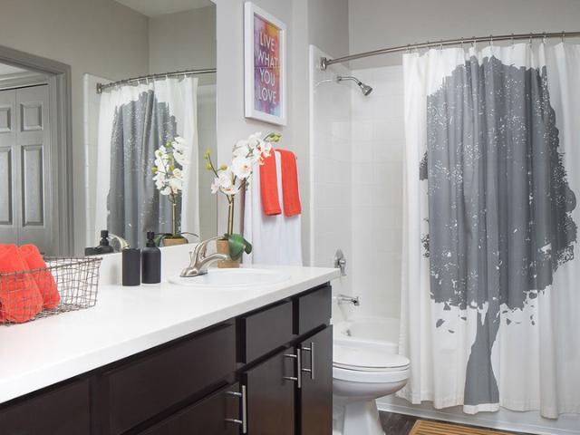 3 BR, 2 BA Apartment 516 E Stassney Ln, Austin, TX 78745