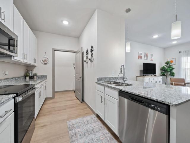 3 BR, 2 BA Apartment 691 Union Chapel Road Unit 11305, Cedar Creek, TX 78612
