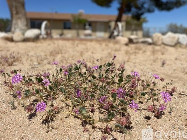 3 BR, 2 BA Apartment 62736 Terrace Dr, Joshua Tree, CA 92252
