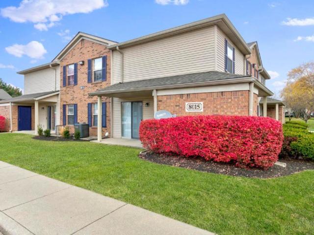 3 BR, 2 BA Apartment 8016 Louisville Drive Unit 3 beds, 2 baths, $1401, Indianapolis, IN 46226