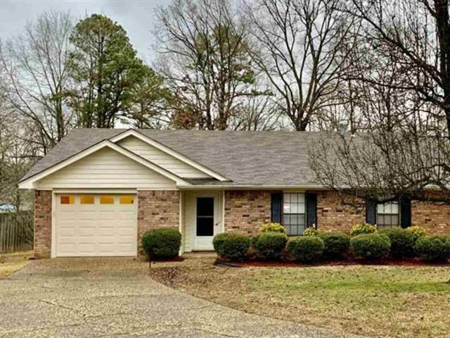 3 BR, 2 BA Apartment 81 Oak Forest Loop, Maumelle, AR 72113