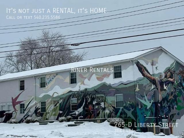 3 BR, 3.5 BA Apartment 265 D Liberty Street, Harrisonburg, VA 22801
