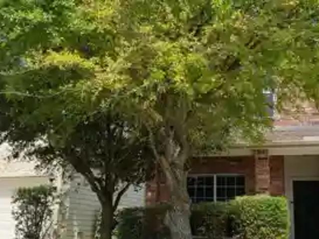 3 BR, 3 BA Apartment 163 Cardinal Way, San Antonio, TX 78253