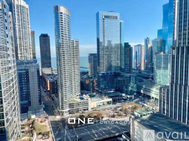 3 BR, 3 BA Apartment 220 E Illinois, Unit 3 Bedroom 3 Bathroom, Chicago, IL 60661