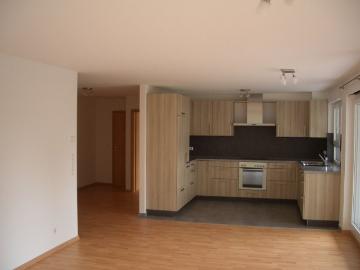 3 BR, 3 min. Panzer, Beautiful modern apart. in prime location