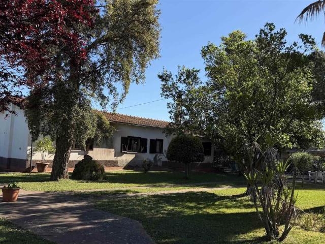 3 Camere Villa Toscana In vendita A11201rv46421 280m² Campagnatico
