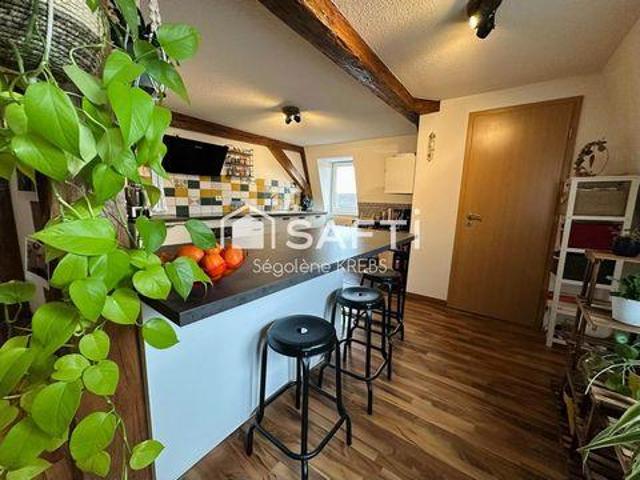 3 chambres, Hilsenheim Alsace 67600 102856682