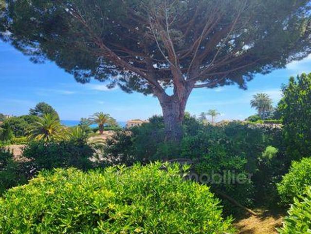 3 chambres, Villeneuve Provence 06270 102920158