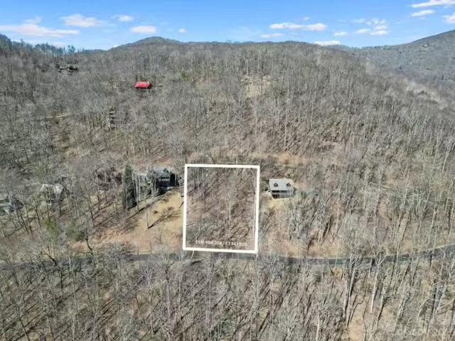 3 Chestnut Village Ln #3A, Mars Hill, NC 28754 MLS 4035172