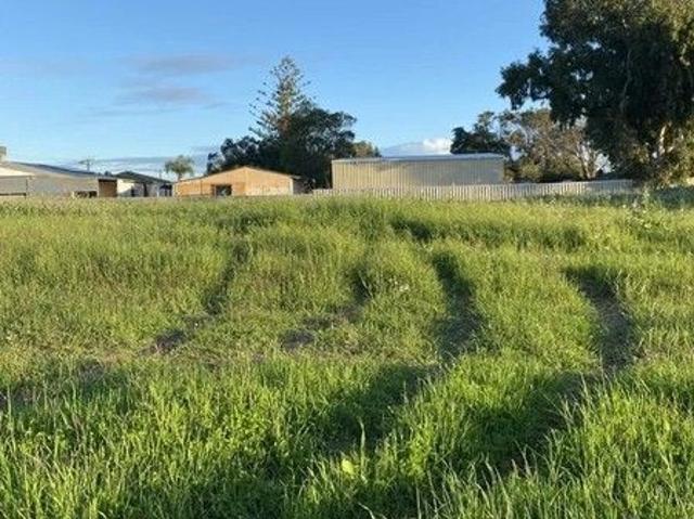 3 Craine Pl Spalding WA 6530
