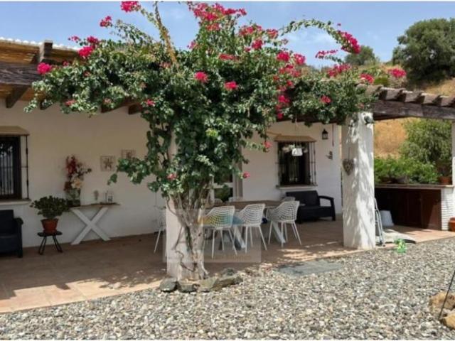 3 Dormitorio Casa Malaga Malaga 101396916